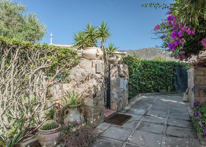 Vinghi - Vakantiehuis