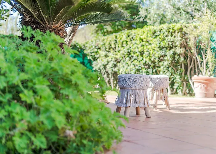 Vinghi - 维拉西米乌斯